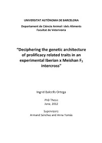 “Deciphering the Genetic Architecture of Prolificacy Related Traits in an Experimental Iberian X Meishan F2 Intercross”