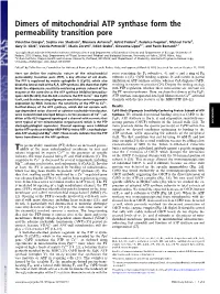 Dimers of Mitochondrial ATP Synthase Form the Permeability Transition Pore