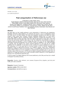 Pest Categorisation of Helicoverpa Zea