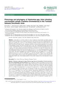 Phenology and Phylogeny of Hyalomma Spp. Ticks Infesting One-Humped Camels (Camelus Dromedarius) in the Tunisian Saharan Bioclimatic Zone