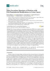Super Secondary Structures of Proteins with Post-Translational Modiﬁcations in Colon Cancer