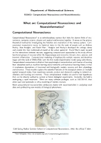 What Are Computational Neuroscience and Neuroinformatics? Computational Neuroscience
