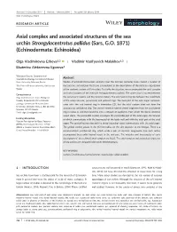 Axial Complex and Associated Structures of the Sea Urchin Strongylocentrotus Pallidus (Sars, G.O