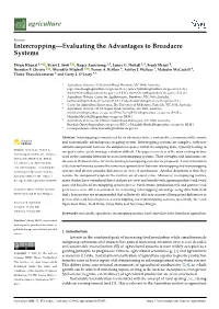 Intercropping—Evaluating the Advantages to Broadacre Systems