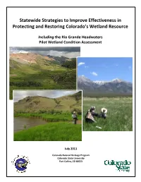 Statewide Strategies to Improve Effectiveness in Protecting and Restoring Colorado's Wetland Resource