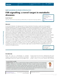 FXR Signalling: a Novel Target in Metabolic