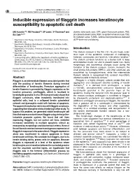 Inducible Expression of Filaggrin Increases Keratinocyte Susceptibility to Apoptotic Cell Death