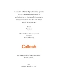 Resistance Is Futile: Physical Science, Systems Biology and Single-Cell Analysis to Understanding the Plastic and Heterogeneous