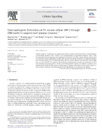 Enteropathogenic Escherichia Coli Tir Recruits Cellular SHP-2 Through ITIM Motifs to Suppress Host Immune Response☆