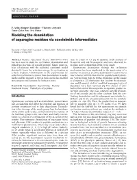 Modeling the Deamidation of Asparagine Residues Via Succinimide Intermediates