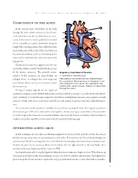Coarctation of the Aorta Interrupted Aortic Arch