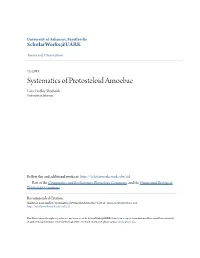 Systematics of Protosteloid Amoebae Lora Lindley Shadwick University of Arkansas