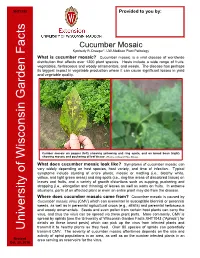 Cucumber Mosaic Kymberly R