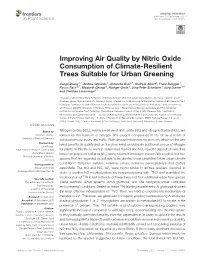 Improving Air Quality by Nitric Oxide Consumption of Climate-Resilient Trees Suitable for Urban Greening