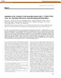 Report Mutations in the X-Linked Cyclin-Dependent Kinase–Like 5