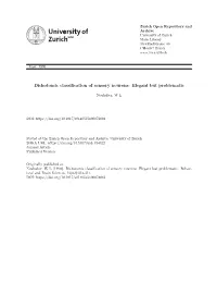 B-Afferents: a Fundamental Division of the Nervous System Mediating Hoxneostasis?