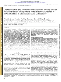 Characterization and Proteomic-Transcriptomic Investigation of Monocarboxylate Transporter 6 Knockout Mice
