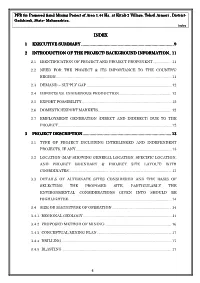 Index 1 Executive Summary