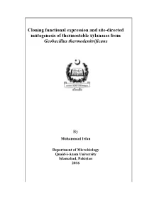 Prevalence, Antimicrobial Susceptibility and Molecular