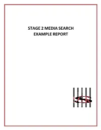 Stage2mediasearch Examplereport