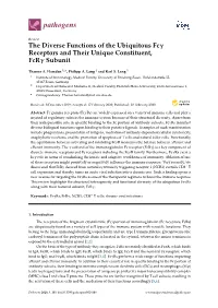 The Diverse Functions of the Ubiquitous Fc Receptors and Their