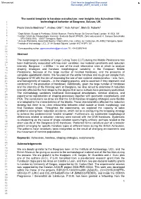 1 the Mental Template in Handaxe Manufacture