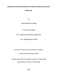 Assessment of Banana Streak MY Virus-Based Infectious Clone Vectors in Musa Ssp. by Mary Nyambeki Onsarigo B. Ed. (Science)