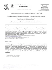 Entropy and Energy Dissipation of a Braided River System