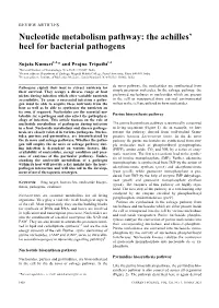 Nucleotide Metabolism Pathway: the Achilles' Heel for Bacterial Pathogens