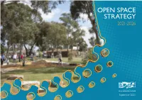 Open Space Strategy 2021-2026