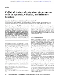 Cell of All Trades: Oligodendrocyte Precursor Cells in Synaptic, Vascular, and Immune Function