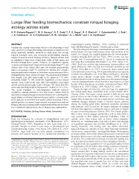 Lunge Filter Feeding Biomechanics Constrain Rorqual Foraging Ecology Across Scale S