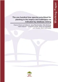 The One Hundred Tree Species Prioritized for Planting in the Tropics and Subtropics As Indicated by Database Mining