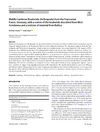 From the Franconian Forest, Germany, with a Review of the Bradoriids Described from West Gondwana and a Revision of Material from Baltica
