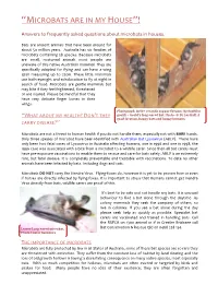 “Microbats Are in My House”!