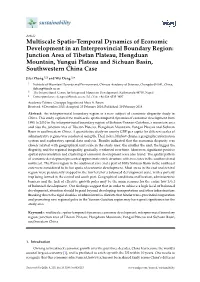 Multiscale Spatio-Temporal Dynamics of Economic