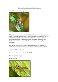 The Hoverflies of Marsland Nature Reserve