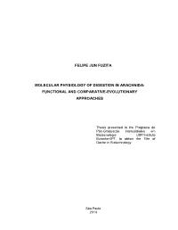 Felipe Jun Fuzita Molecular Physiology of Digestion In