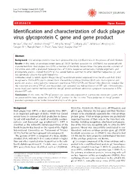 Identification and Characterization of Duck Plague Virus Glycoprotein C