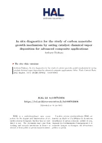 In Situ Diagnostics for the Study of Carbon Nanotube Growth