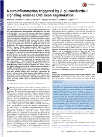 Neuroinflammation Triggered by Β-Glucan/Dectin-1 Signaling Enables CNS Axon Regeneration