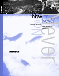 Now Or Never 2