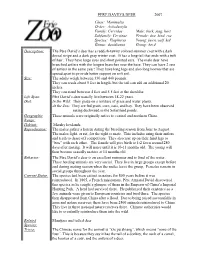 PERE DAVID's DEER 2007 Class: Mammalia Order