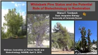 Whitebark Pine Status and the Potential Role of Biotechnology in Restoration Diana F