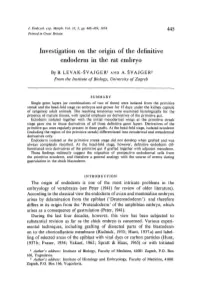 Investigation on the Origin of the Definitive Endoderm in the Rat Embryo
