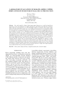 Laboratory Evaluation of Borate:Amine:Copper Derivatives In