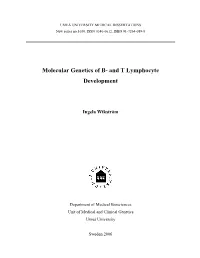 Molecular Genetics of B- and T Lymphocyte Development