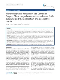 Morphology and Function in the Cambrian Burgess Shale