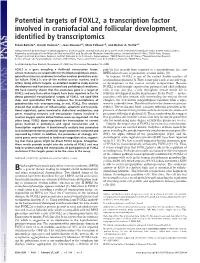 Potential Targets of FOXL2, a Transcription Factor Involved in Craniofacial and Follicular Development, Identified by Transcriptomics