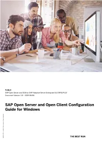 SAP Open Server and Open Client Configuration Guide for Windows Company